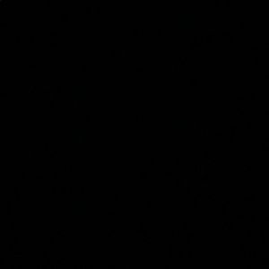 Meet your Posher, Deanna